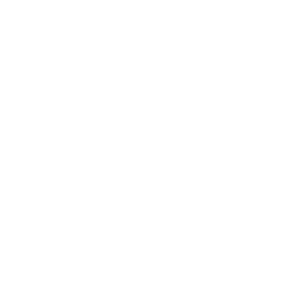 ArzCoach_Logo_Final_Present-05